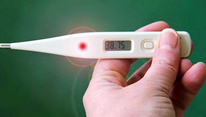 Zaj mavosti O Ch ipce V te Nev te 2025